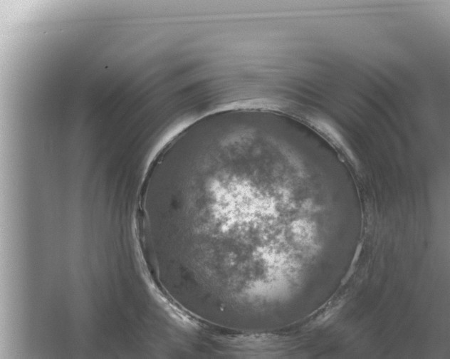 X0000067500952200604150104