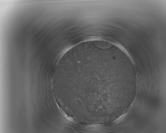 X0000067500953200604150104