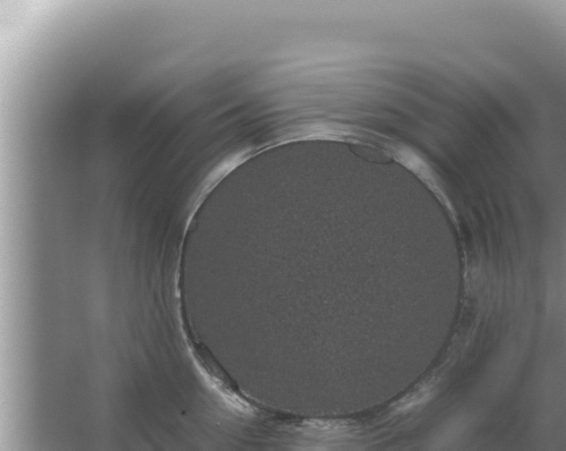 X0000067500954200604150104