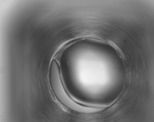 X0000067500956200604150104