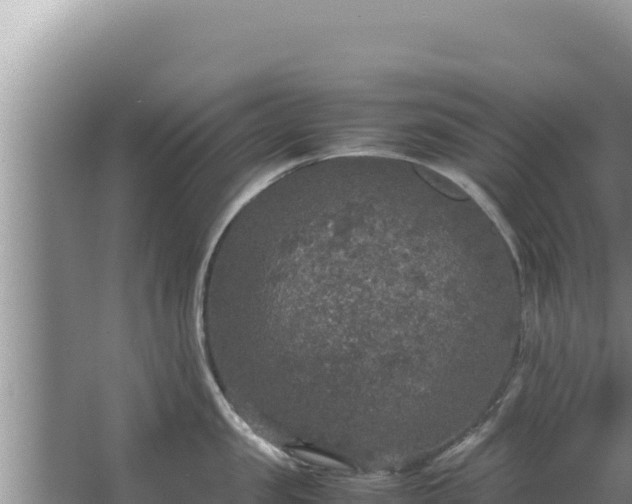 X0000067500957200604150104