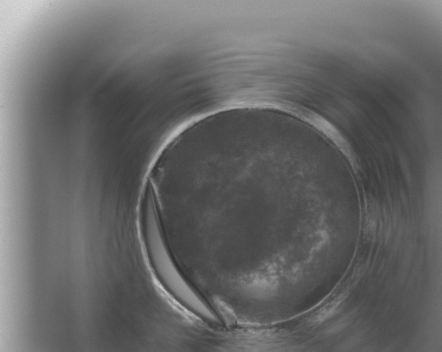 X0000067500958200604150104