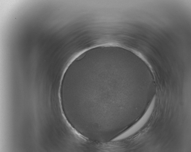 X0000067500959200604150104