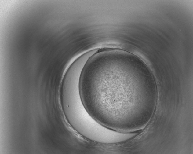 X0000067500960200604150104