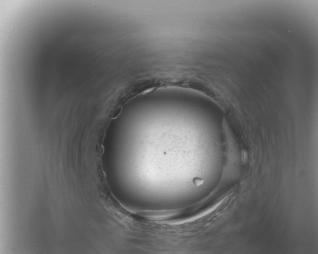 X0000067500961200604150103