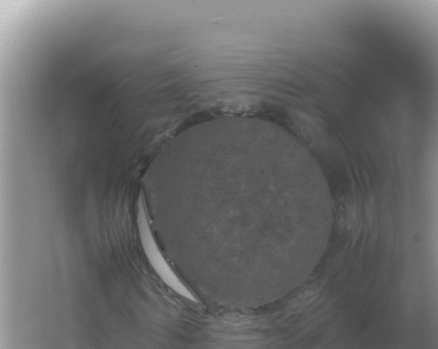 X0000067500962200604150103