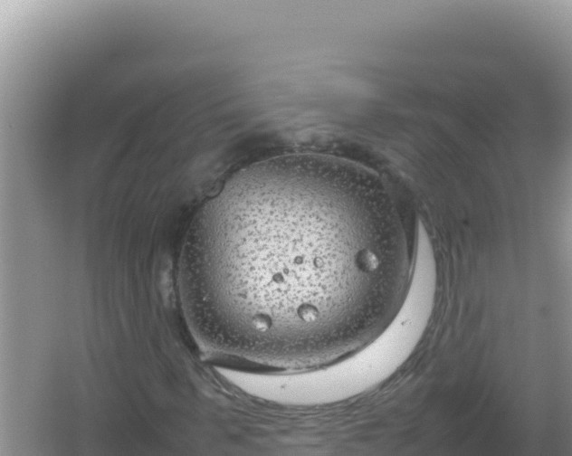 X0000067500963200604150103