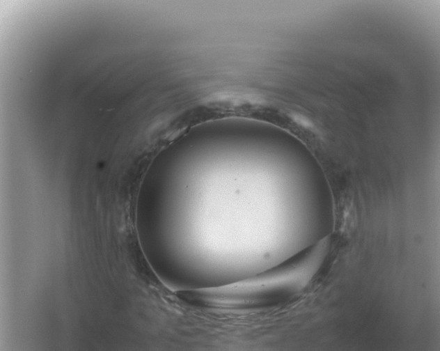 X0000067500965200604150103