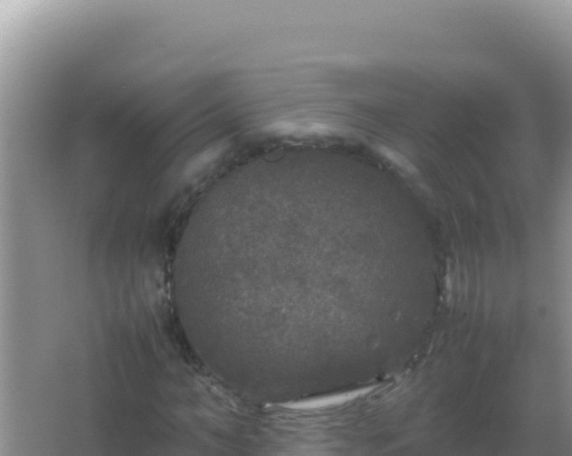 X0000067500966200604150103