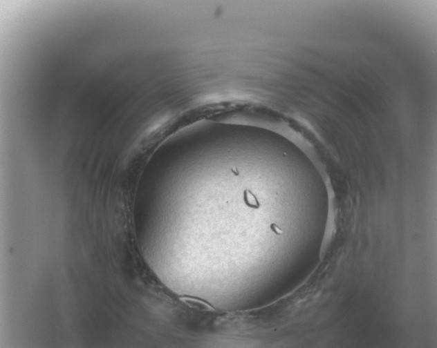 X0000067500967200604150103