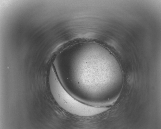 X0000067500968200604150103