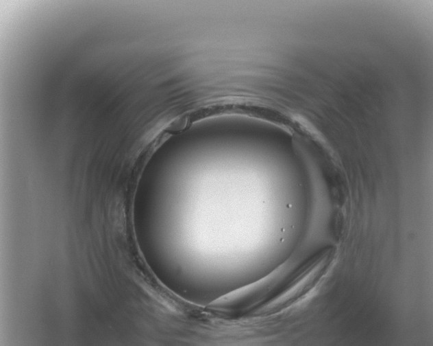 X0000067500969200604150103