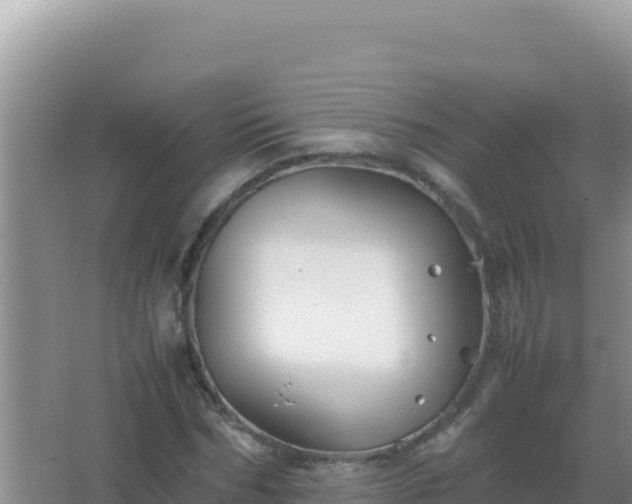 X0000067500970200604150103