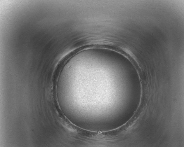 X0000067500971200604150103