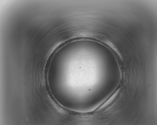 X0000067500972200604150103