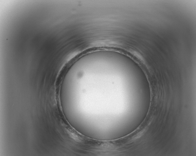 X0000067500974200604150103