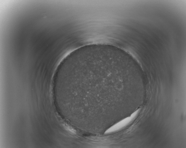 X0000067500975200604150103