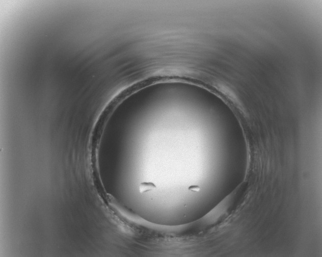 X0000067500976200604150103