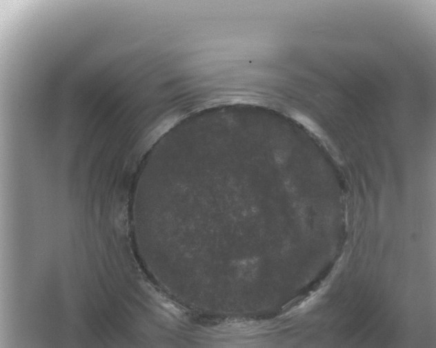 X0000067500977200604150103