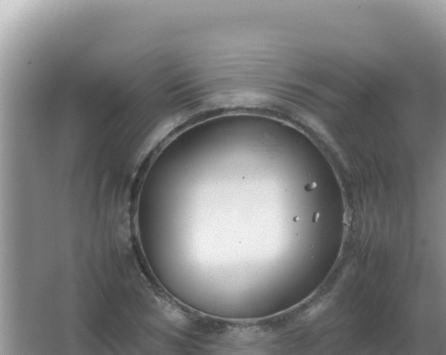 X0000067500978200604150103