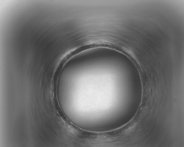 X0000067500979200604150103