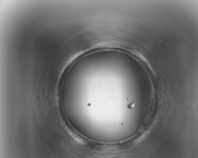 X0000067500981200604150103