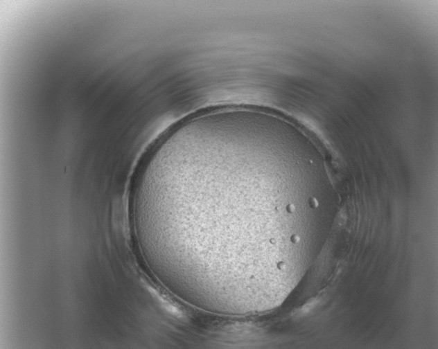 X0000067500982200604150103