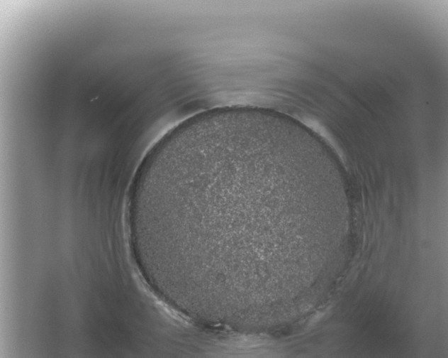 X0000067500983200604150103