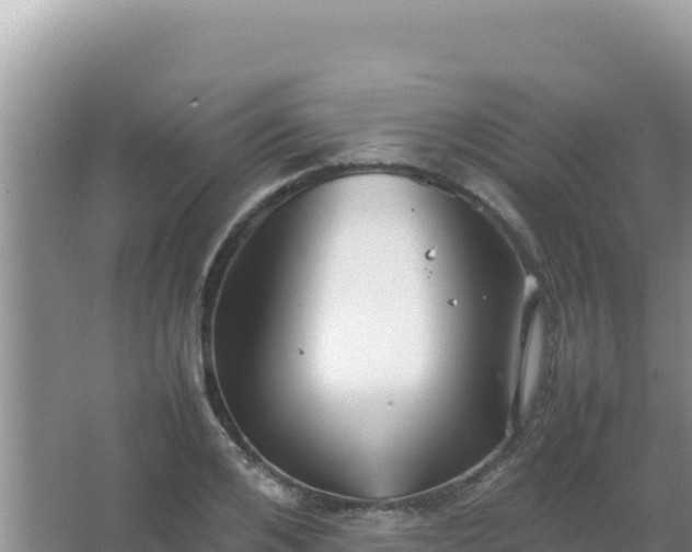 X0000067500984200604150103