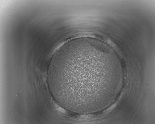 X0000067500985200604150103