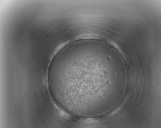 X0000067500986200604150103