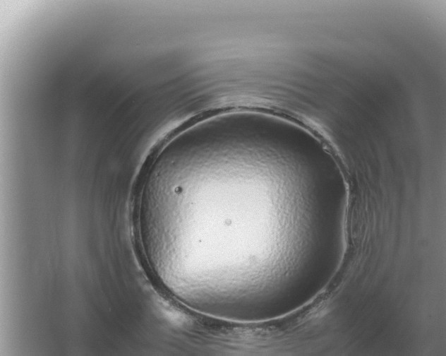 X0000067500987200604150103