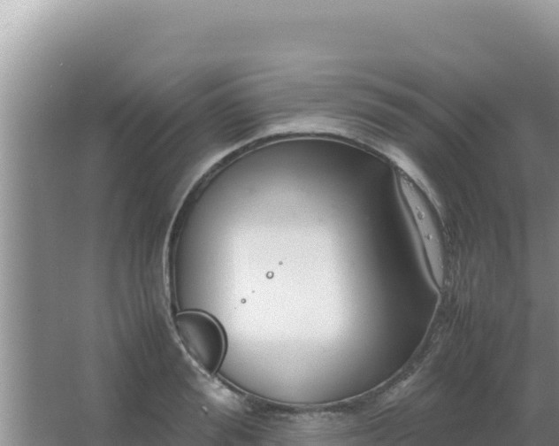 X0000067500988200604150103