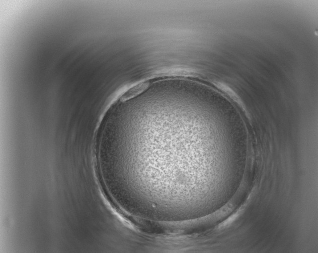 X0000067500989200604150103