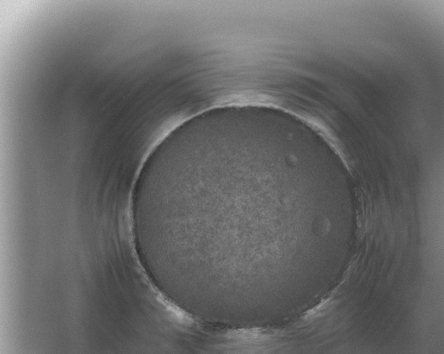 X0000067500990200604150103