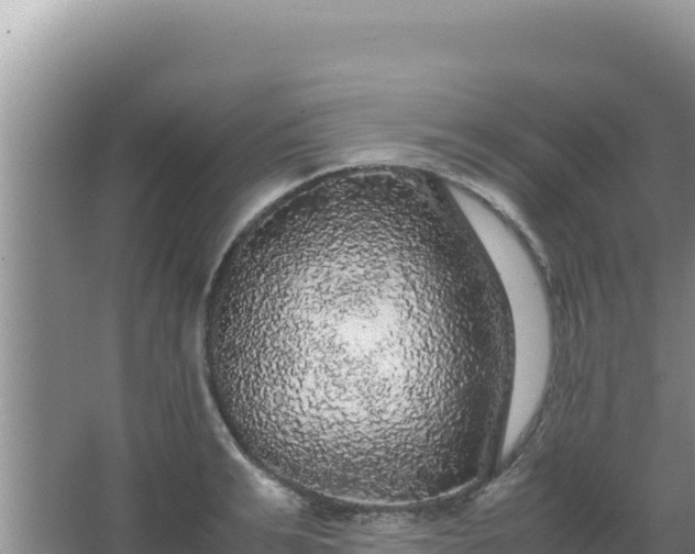 X0000067500991200604150103