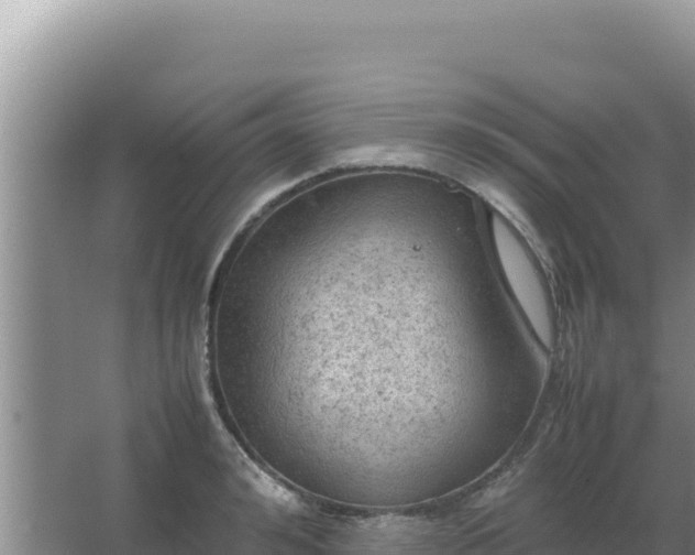 X0000067500992200604150103