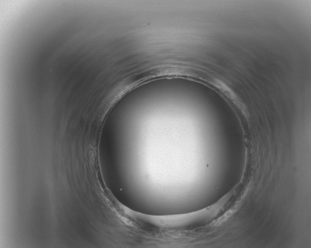 X0000067500993200604150103