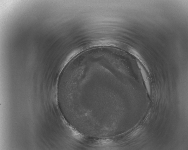 X0000067500994200604150103