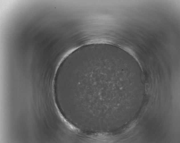 X0000067500995200604150103