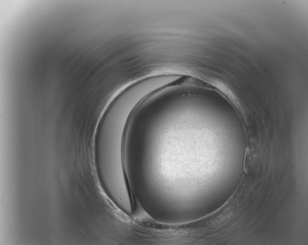 X0000067500996200604150103