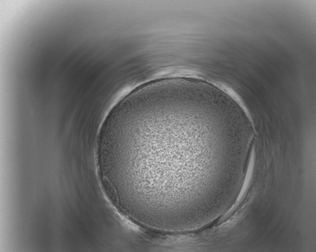 X0000067500997200604150103