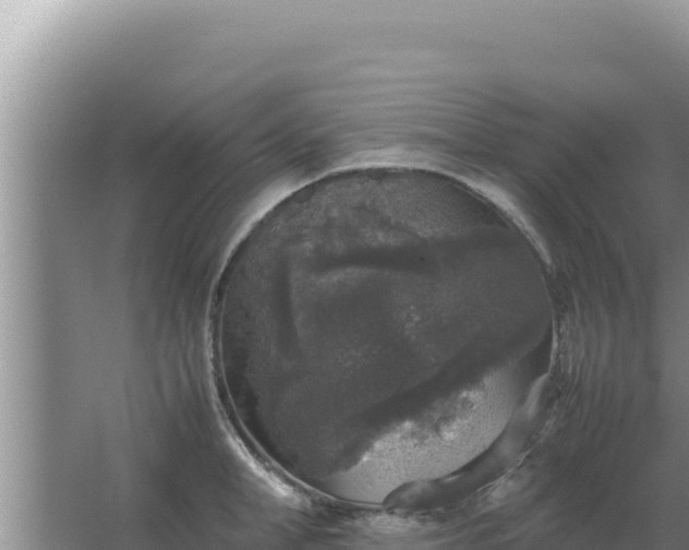 X0000067500998200604150103