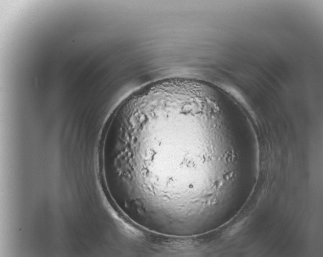 X0000067500999200604150103