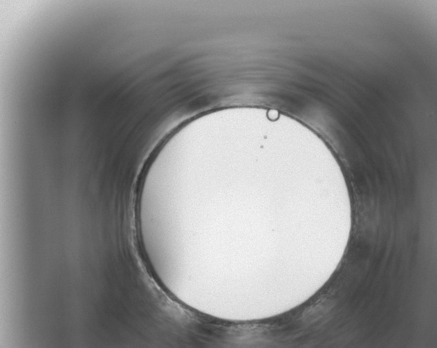 X0000067501000200604150103