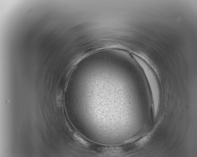 X0000067501001200604150103