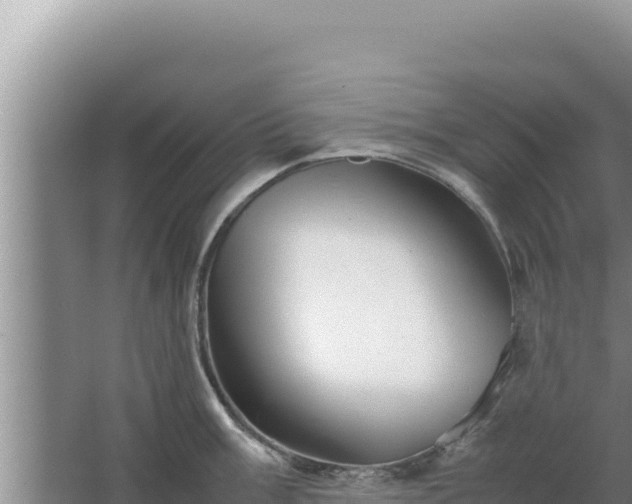 X0000067501003200604150103