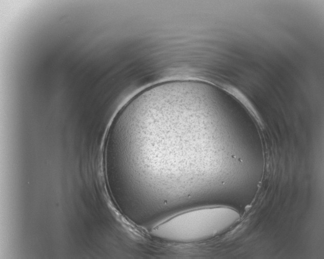 X0000067501004200604150103