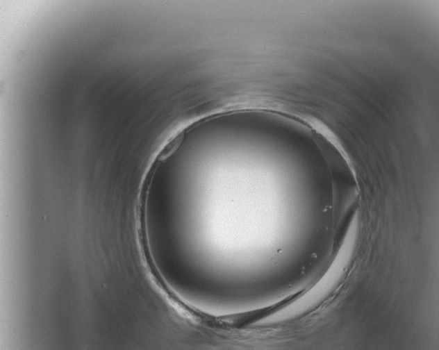 X0000067501005200604150103