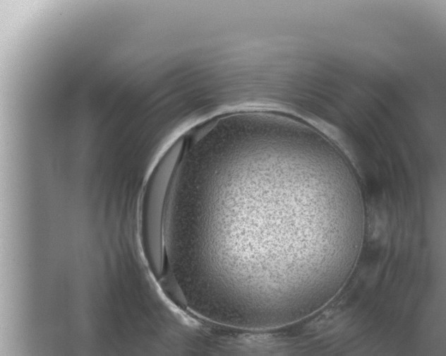 X0000067501006200604150103